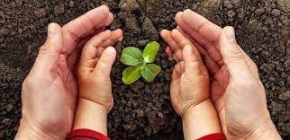 Go Green Activity (Environmental Activity)