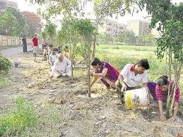 Go Green Activity (Environmental Activity)